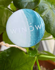 チャリティアイテム WINÓW BALL ステッカー〈for our Nature〉