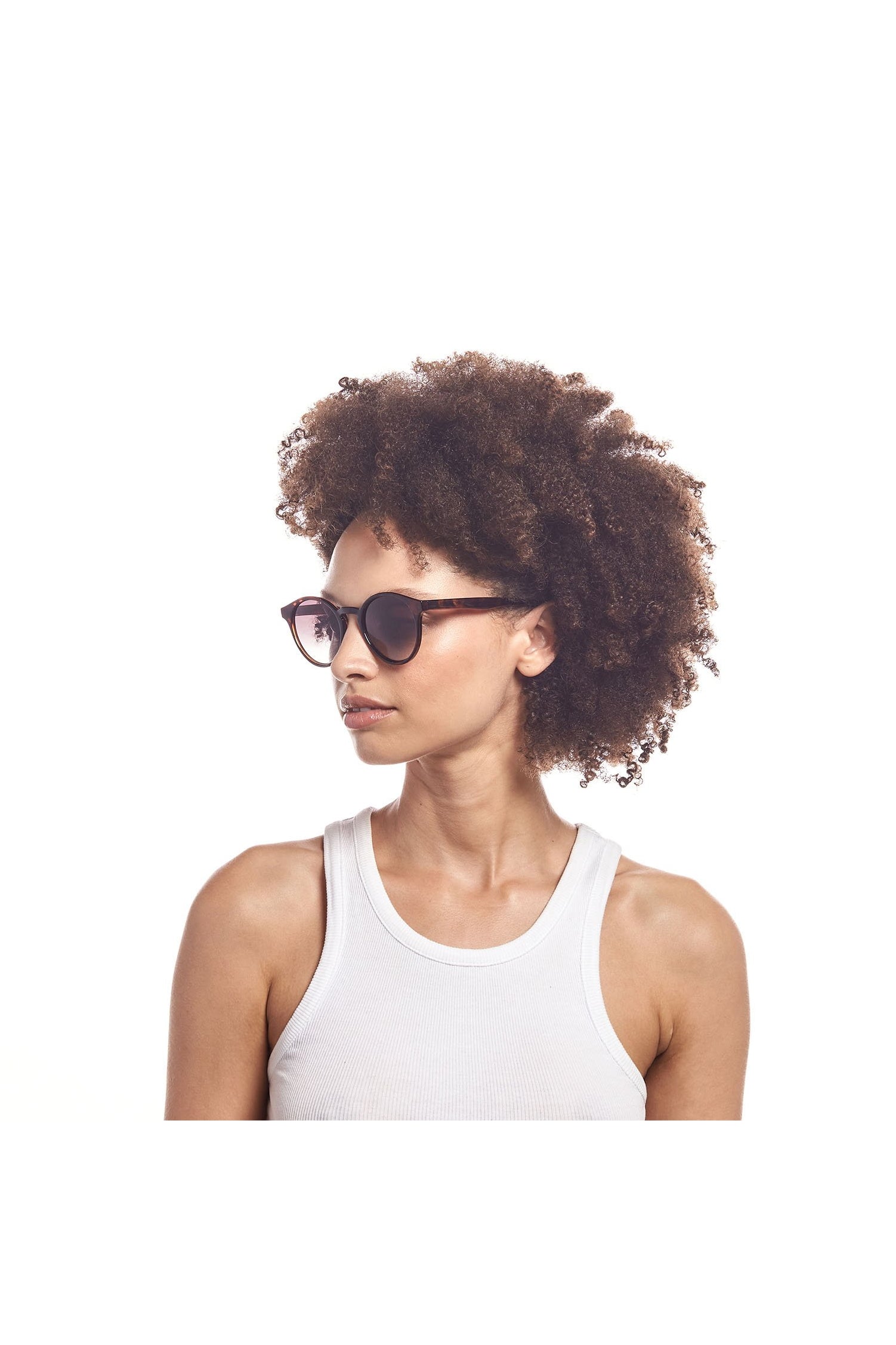 WHIRLWIND│Le Specs (ルスペックス) レディース サングラス：WINOW